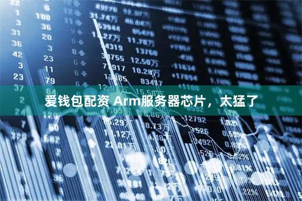 爱钱包配资 Arm服务器芯片，太猛了