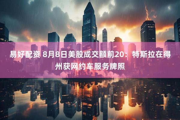 易好配资 8月8日美股成交额前20：特斯拉在得州获网约车服务牌照