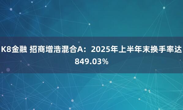 K8金融 招商增浩混合A：2025年上半年末换手率达849.03%